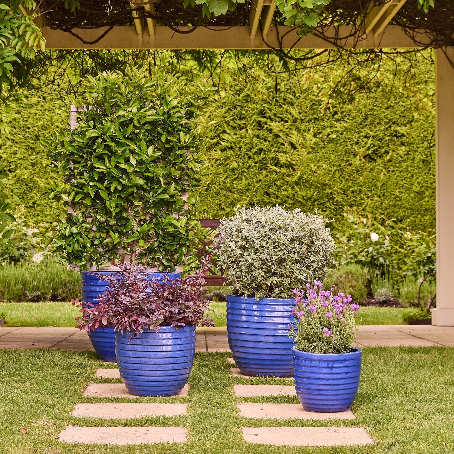 Plant Materials